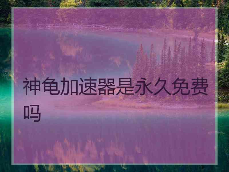 神龟加速器是永久免费吗