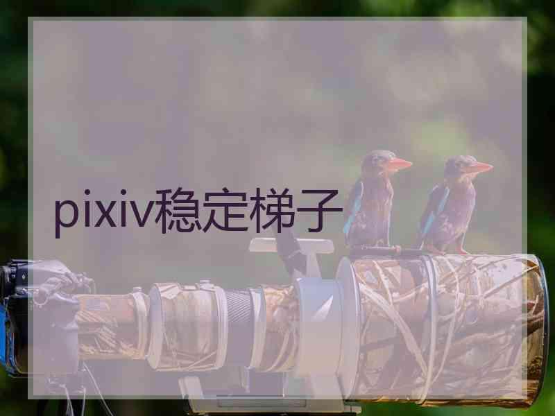 pixiv稳定梯子