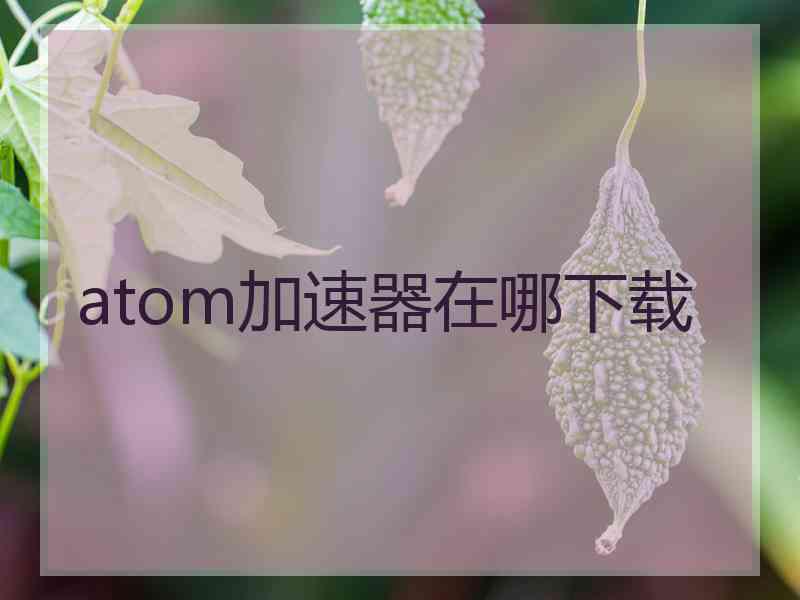 atom加速器在哪下载