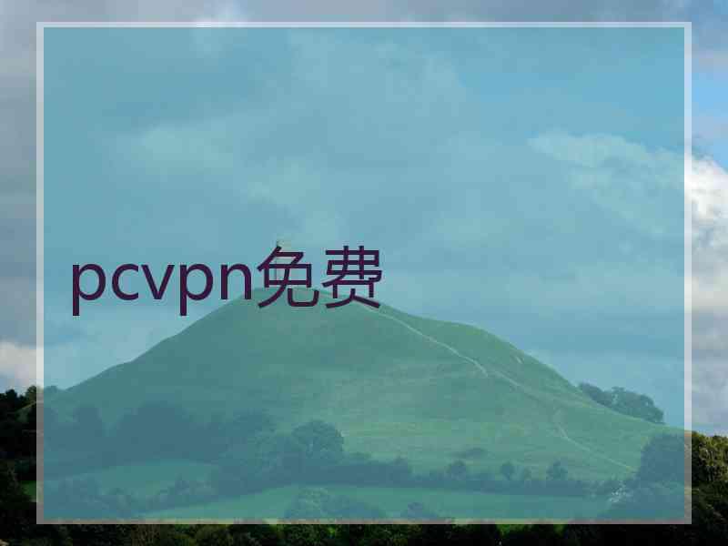 pcvpn免费