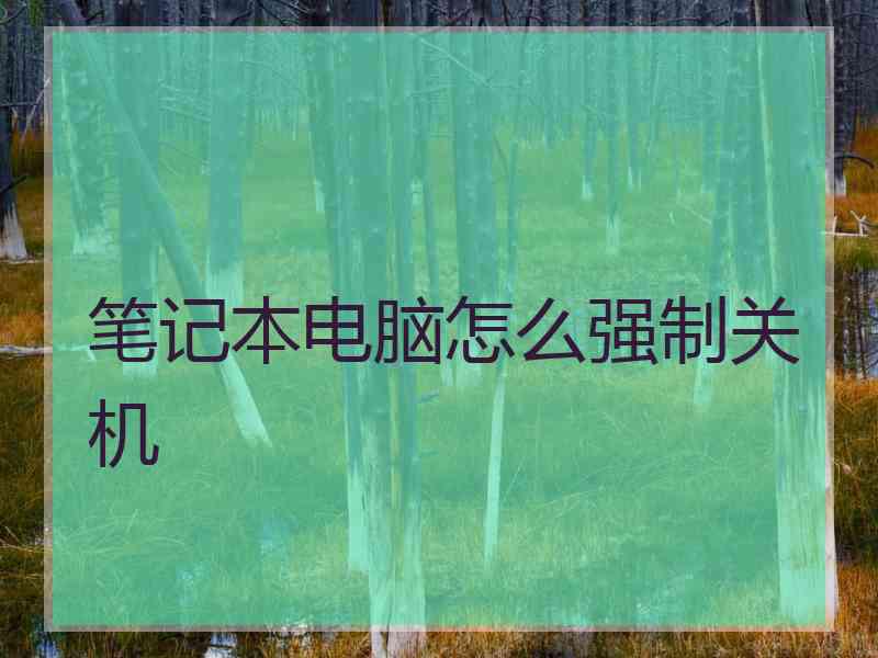 笔记本电脑怎么强制关机