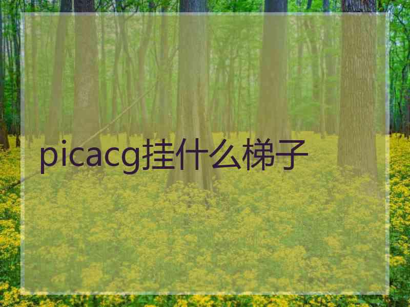 picacg挂什么梯子