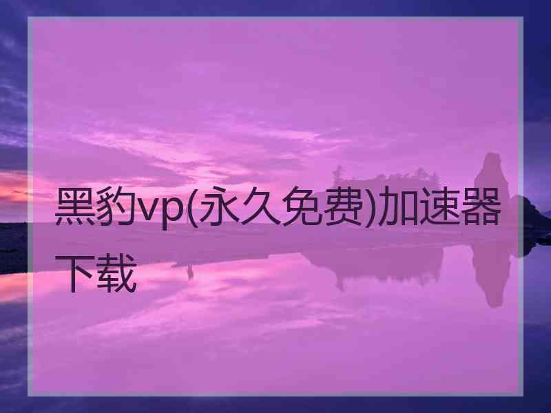 黑豹vp(永久免费)加速器下载