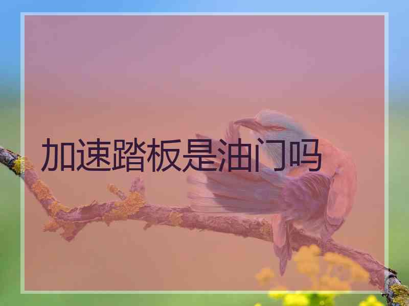 加速踏板是油门吗