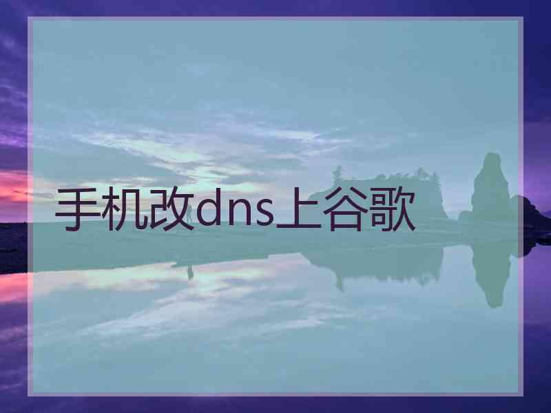 手机改dns上谷歌