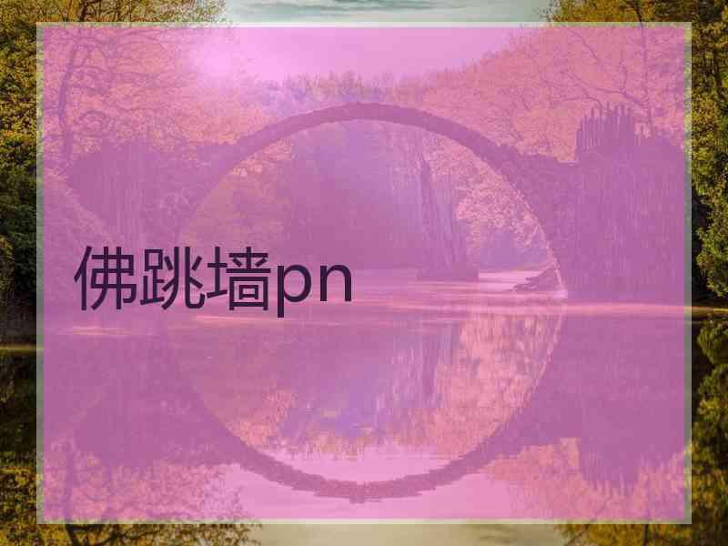 佛跳墙pn