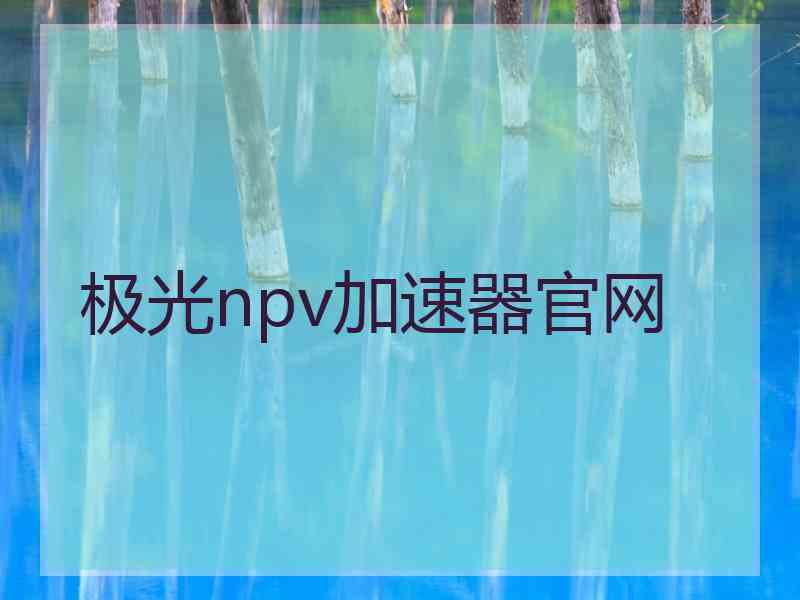 极光npv加速器官网