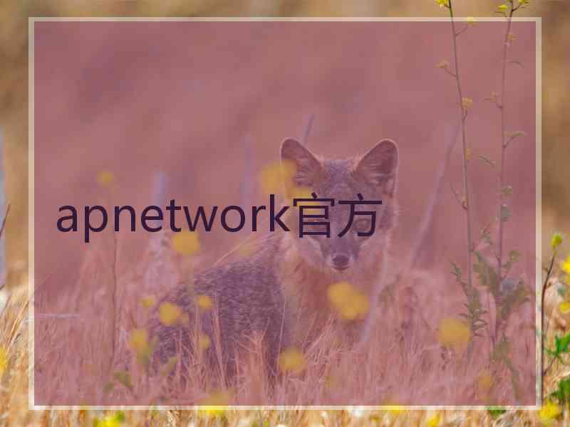 apnetwork官方