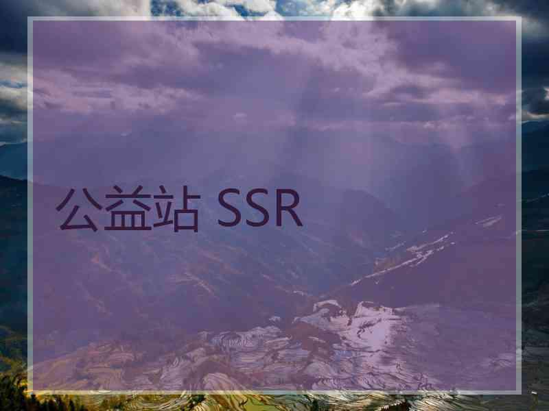 公益站 SSR