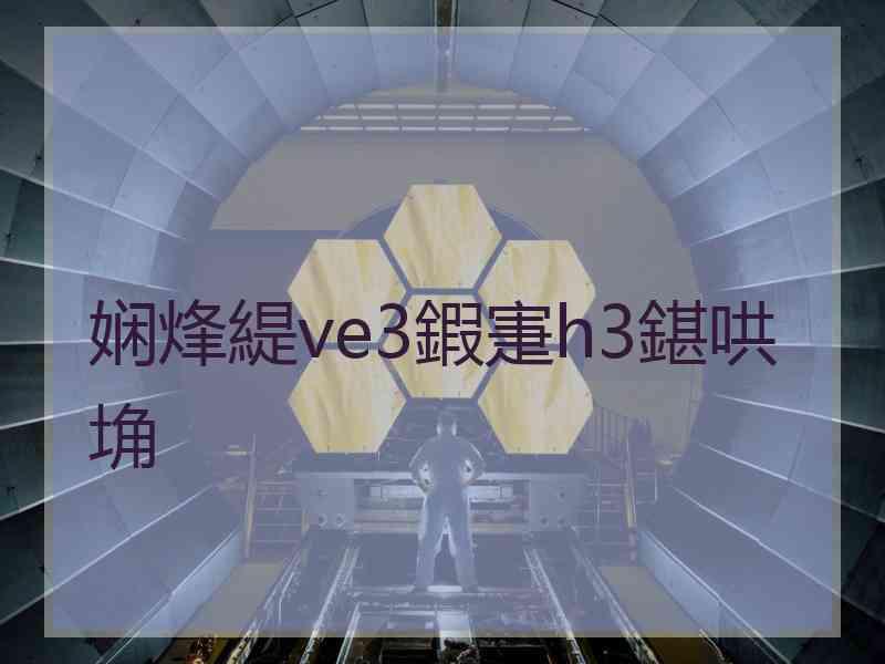 娴烽緹ve3鍜寁h3鍖哄埆