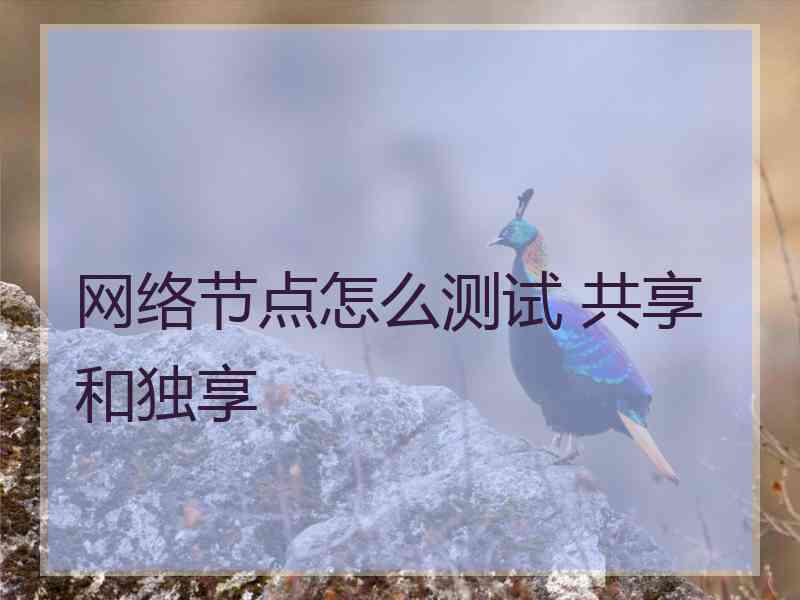 网络节点怎么测试 共享和独享