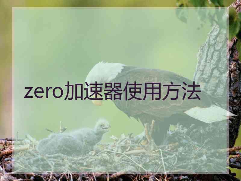 zero加速器使用方法