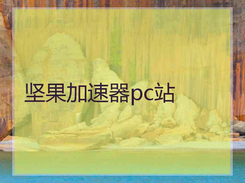 坚果加速器pc站