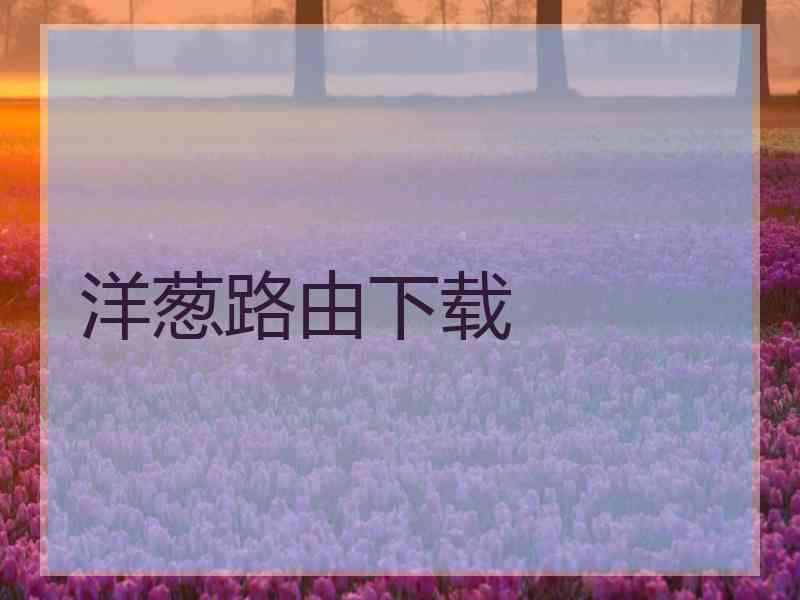 洋葱路由下载