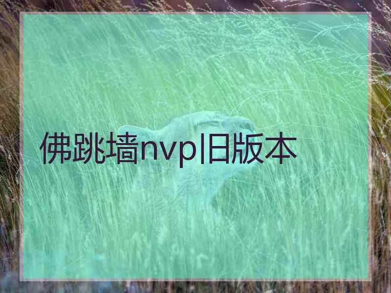 佛跳墙nvp旧版本