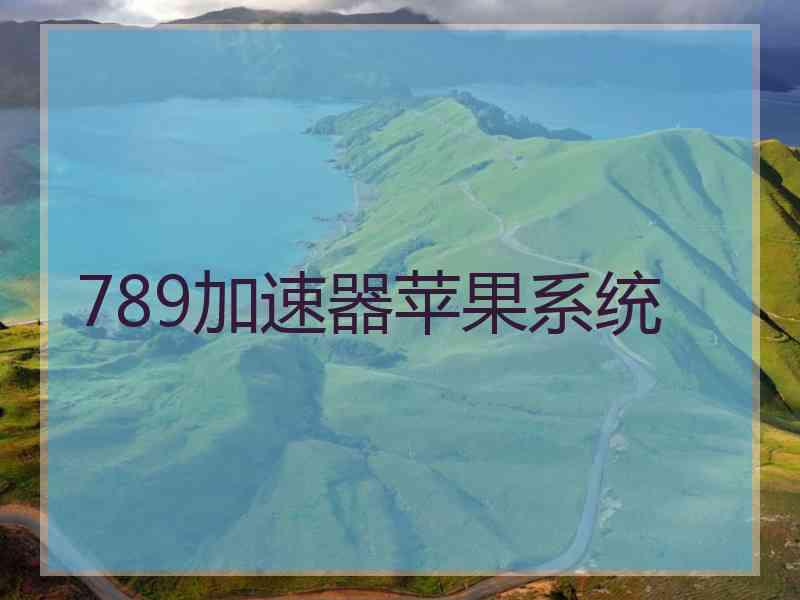 789加速器苹果系统