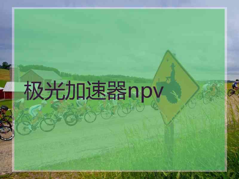 极光加速器npv