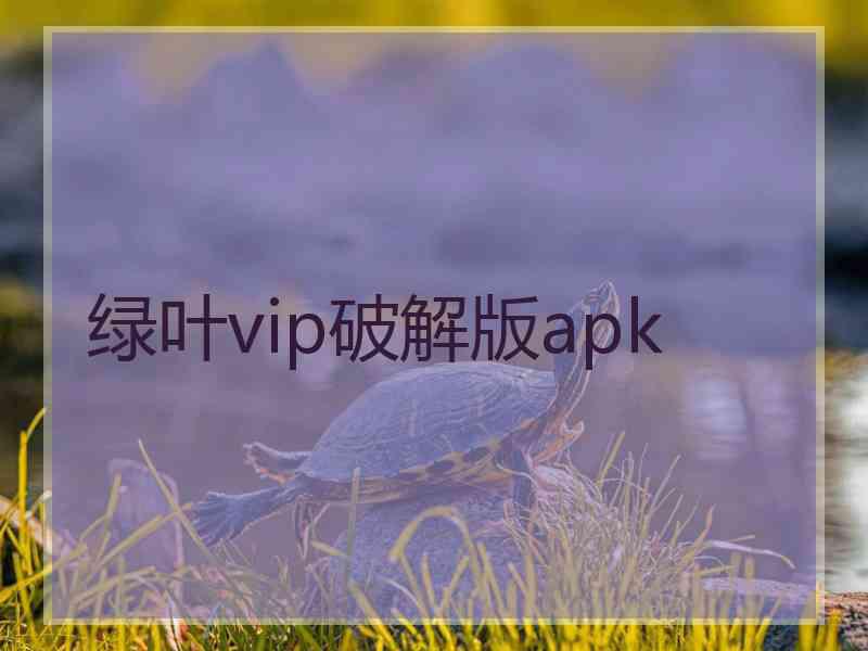 绿叶vip破解版apk