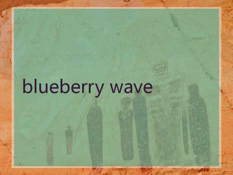 blueberry wave