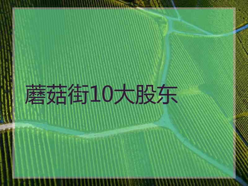 蘑菇街10大股东