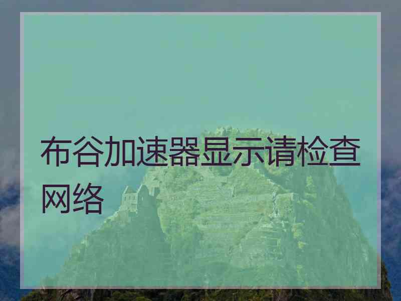 布谷加速器显示请检查网络