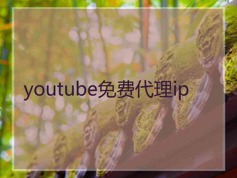 youtube免费代理ip