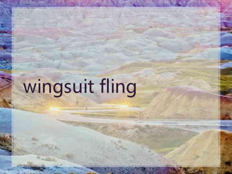 wingsuit fling