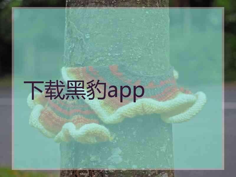 下载黑豹app