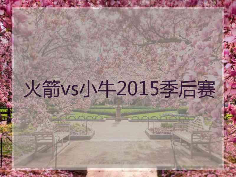 火箭vs小牛2015季后赛