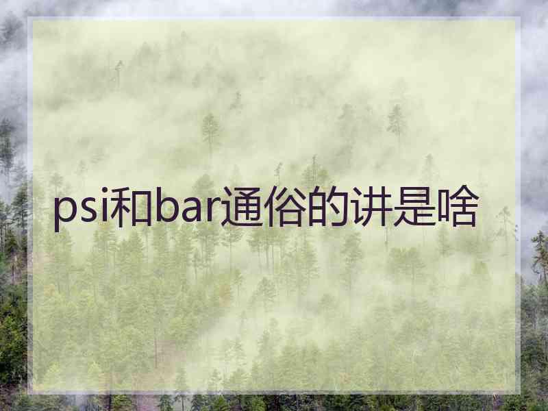 psi和bar通俗的讲是啥