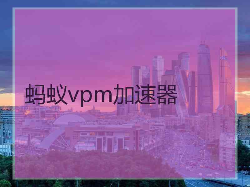 蚂蚁vpm加速器