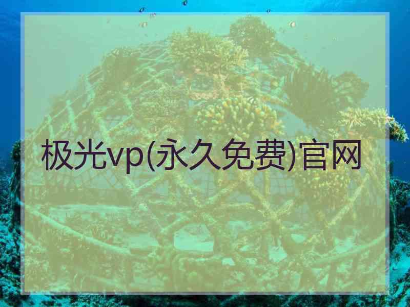 极光vp(永久免费)官网