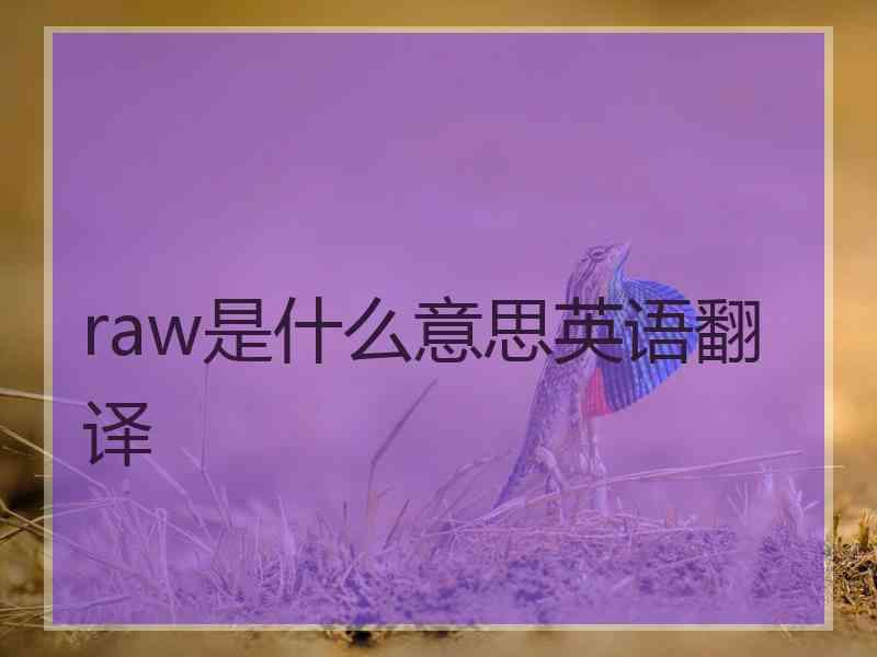 raw是什么意思英语翻译