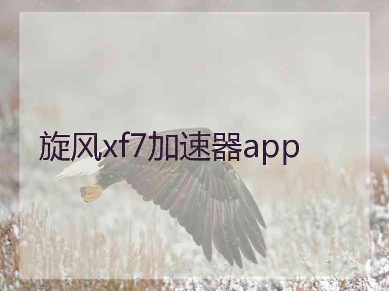 旋风xf7加速器app