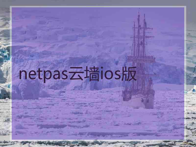 netpas云墙ios版