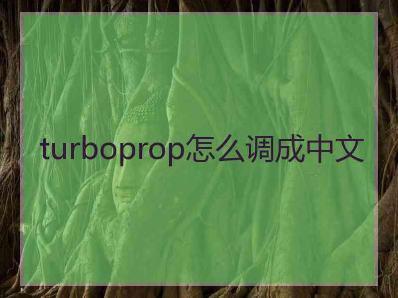 turboprop怎么调成中文