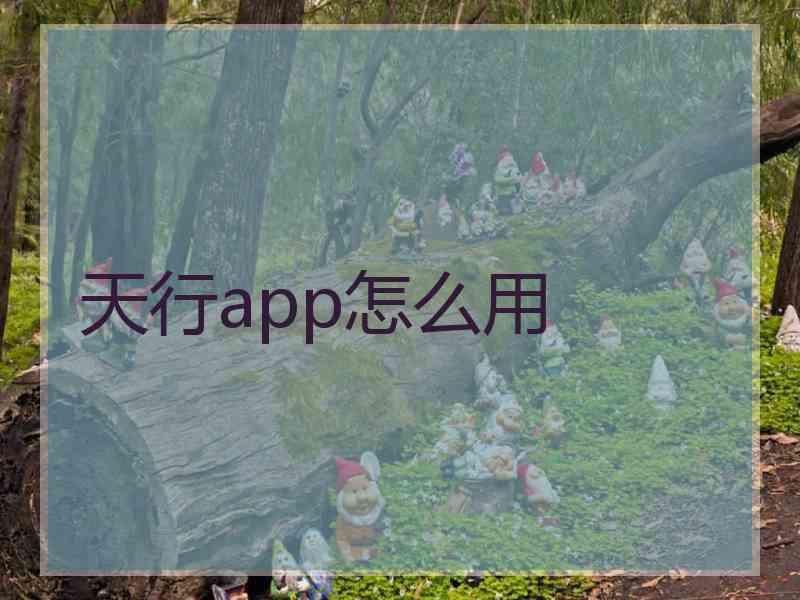 天行app怎么用