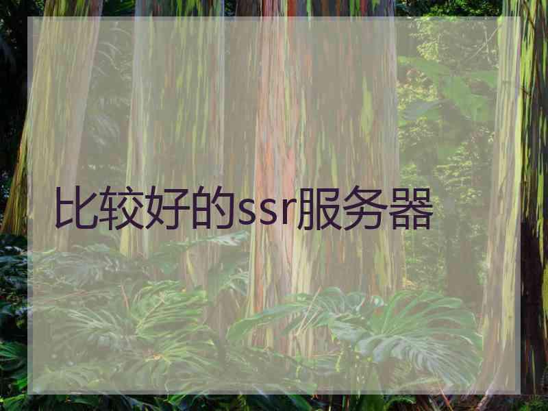 比较好的ssr服务器