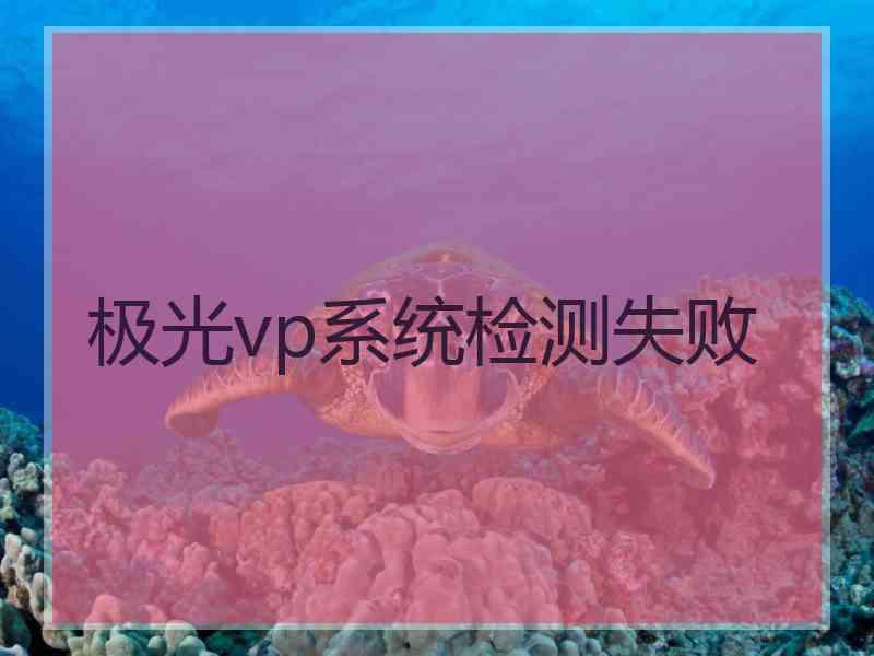 极光vp系统检测失败