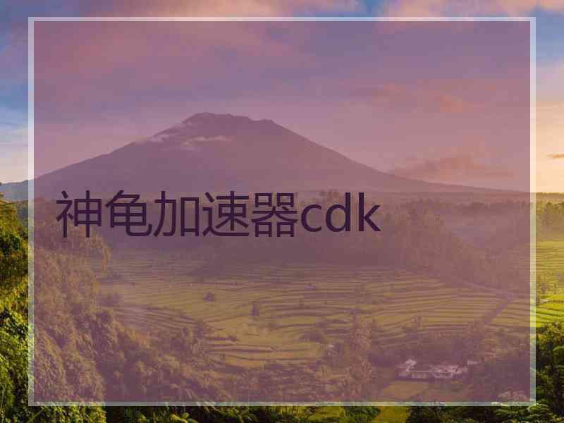 神龟加速器cdk