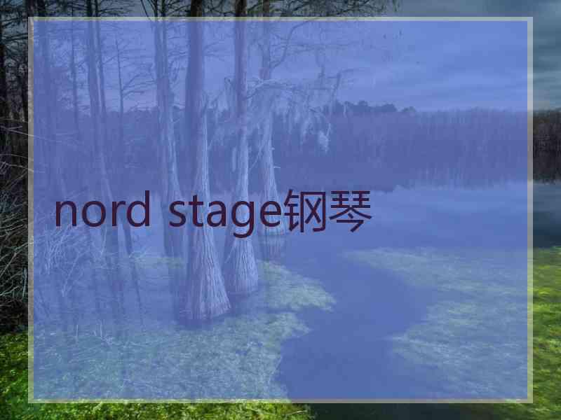 nord stage钢琴