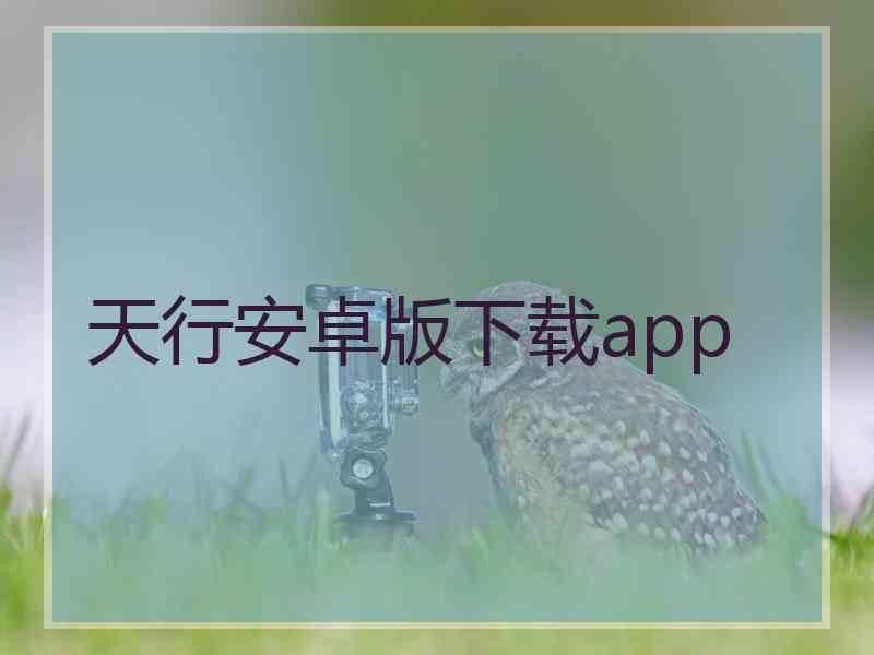 天行安卓版下载app