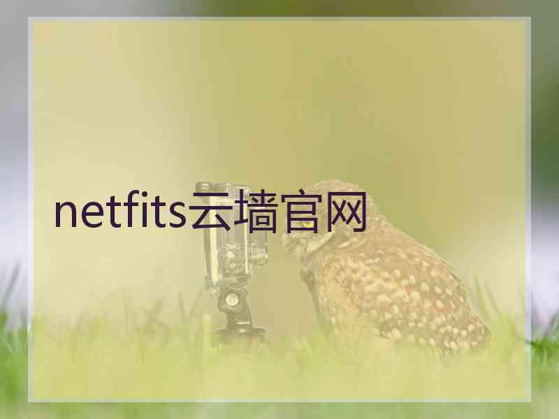 netfits云墙官网