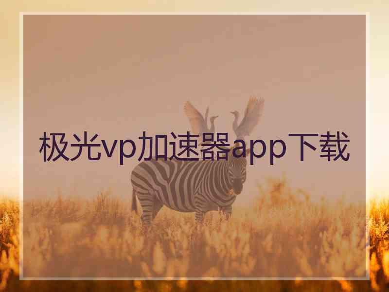 极光vp加速器app下载