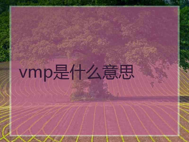 vmp是什么意思