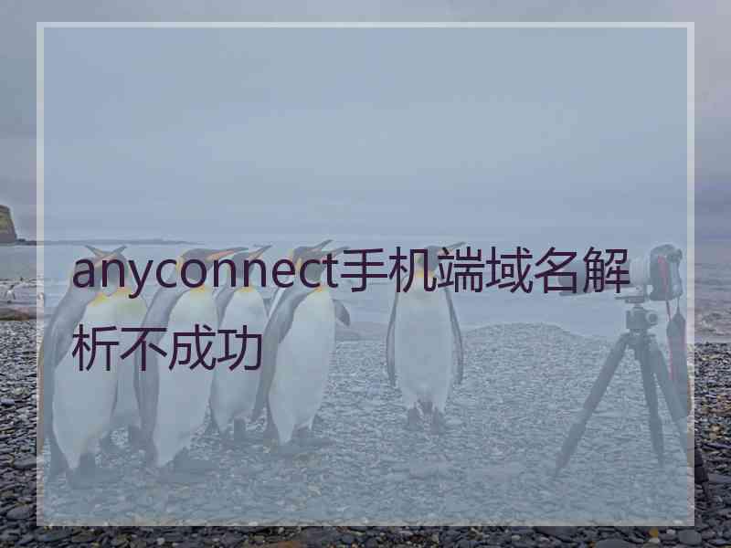 anyconnect手机端域名解析不成功