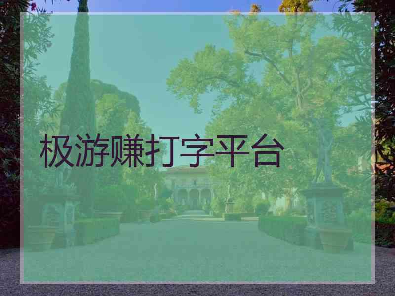 极游赚打字平台