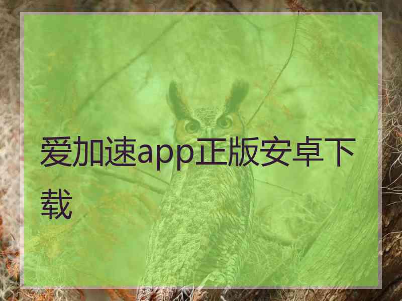 爱加速app正版安卓下载