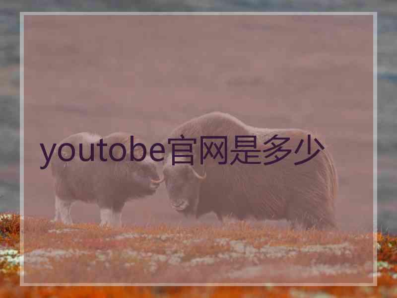 youtobe官网是多少