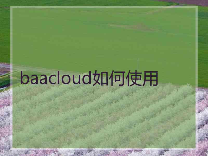 baacloud如何使用